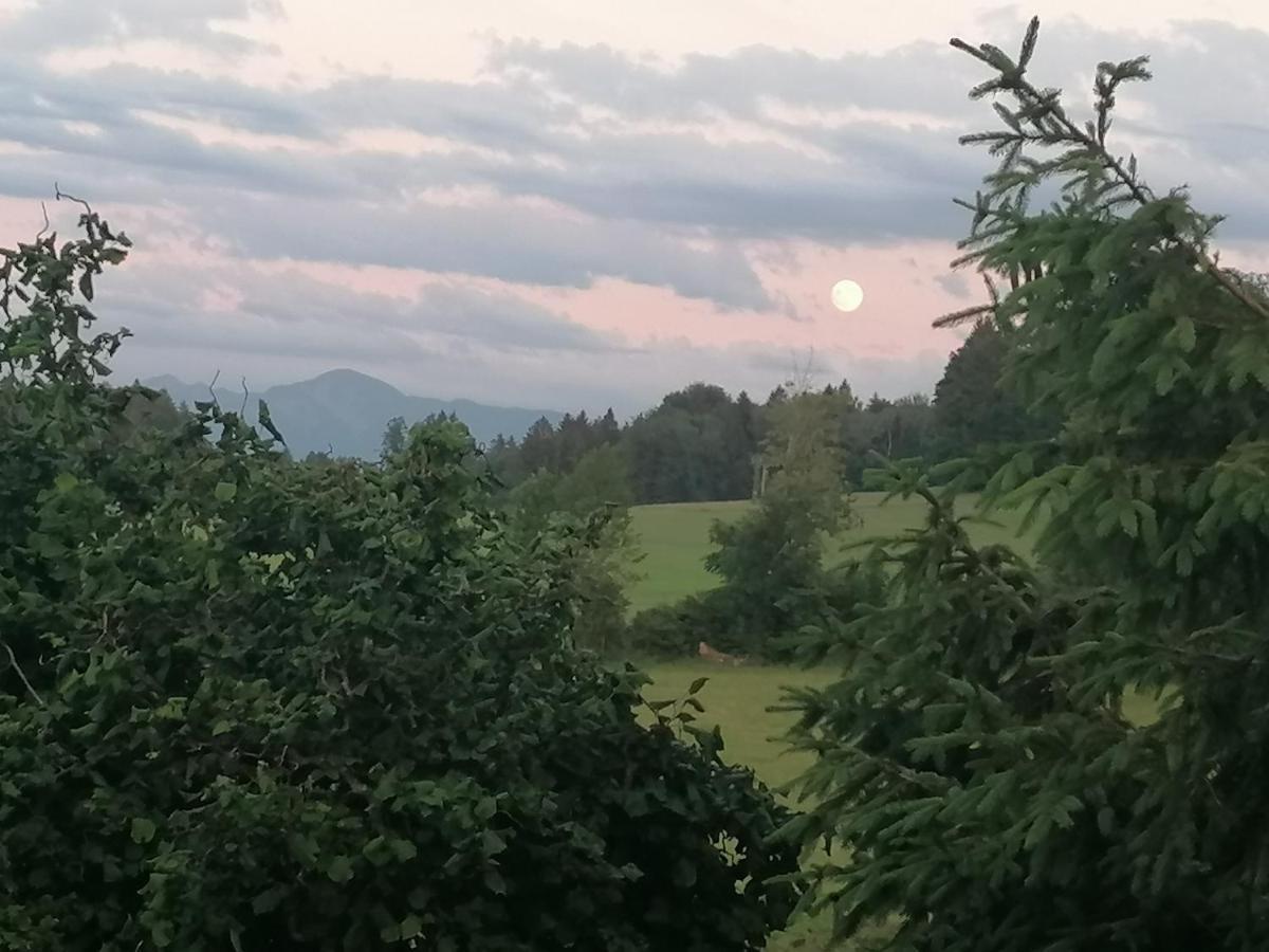 Ferienwohnung Bauer Böbing 外观 照片